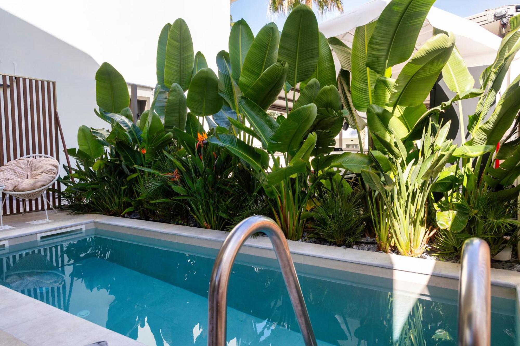 Hotel de apartamente Summer Dream 3*